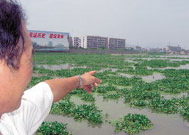 BB贝博APP体育官网下载